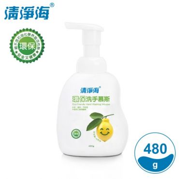 清淨海 環保洗手慕斯480g